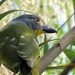 07 Chobe national park (143)