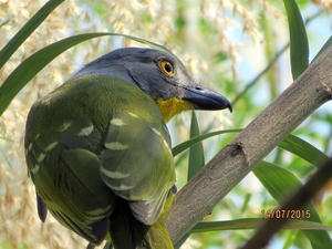 07 Chobe national park (143)