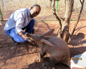 07 Chobe national park (166)