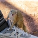 07 Chobe national park (167)