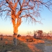 08 Zimbabwe (10)