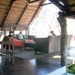 09 Hwange national park (12)