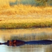 09 Hwange national park (15)