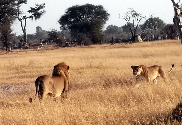 09 Hwange national park (22)