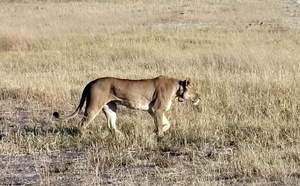 09 Hwange national park (25)