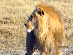 09 Hwange national park (28)