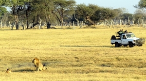 09 Hwange national park (32)