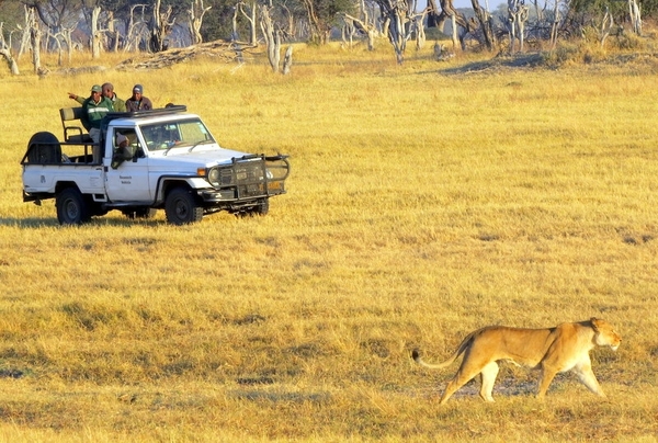 09 Hwange national park (34)