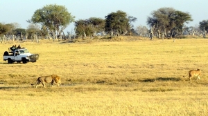 09 Hwange national park (35)