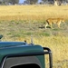 09 Hwange national park (44)