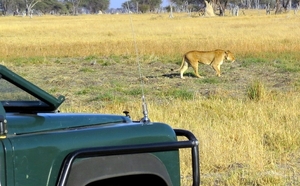 09 Hwange national park (44)