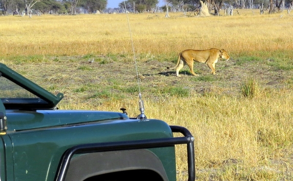 09 Hwange national park (44)