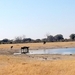 09 Hwange national park (50)