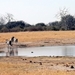 09 Hwange national park (51)