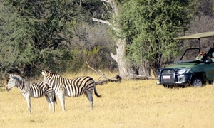 09 Hwange national park (54)