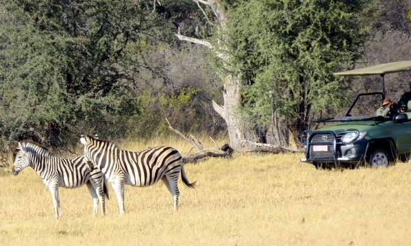 09 Hwange national park (54)