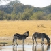 09 Hwange national park (69)