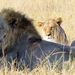 09 Hwange national park (74)