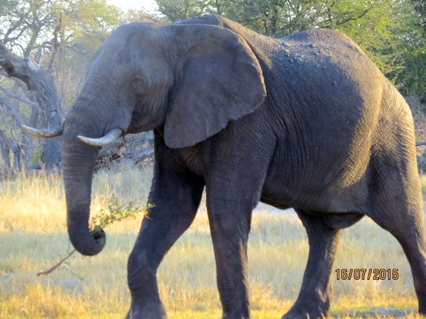 09 Hwange national park (89)