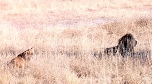 09 Hwange national park (91)