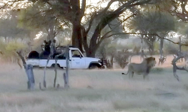 09 Hwange national park (97)