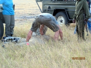 09 Hwange national park (122)