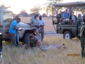 09 Hwange national park (125)