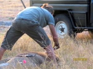 09 Hwange national park (127)