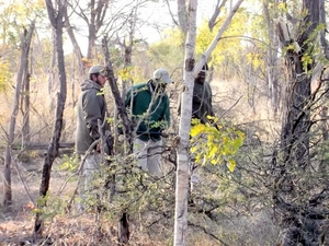 09 Hwange national park (134)