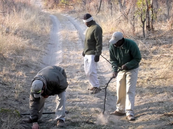 09 Hwange national park (135)