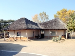 09 Hwange national park (171)