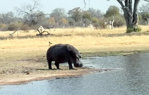 09 Hwange national park (179)