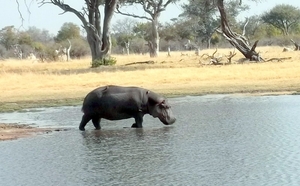 09 Hwange national park (180)