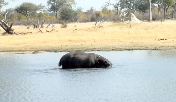 09 Hwange national park (181)