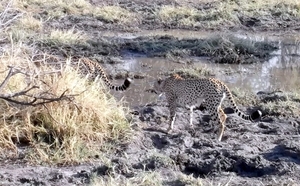 09 Hwange national park (185)