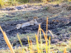 09 Hwange national park (201)