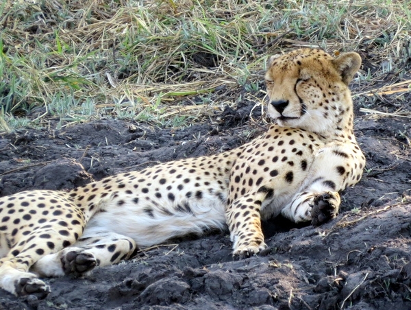 09 Hwange national park (202)