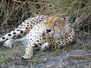 09 Hwange national park (204)