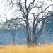 09 Hwange national park (211)