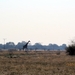 09 Hwange national park (223)