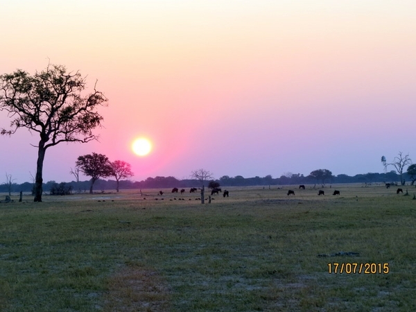 09 Hwange national park (224)