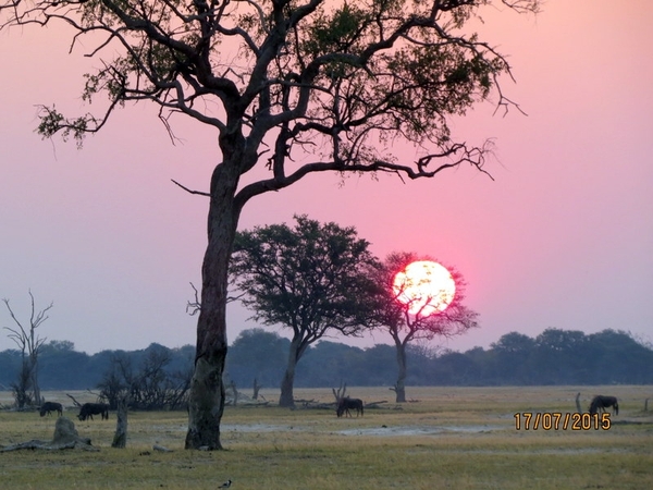 09 Hwange national park (227)