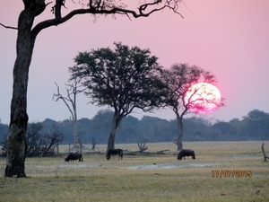 09 Hwange national park (228)