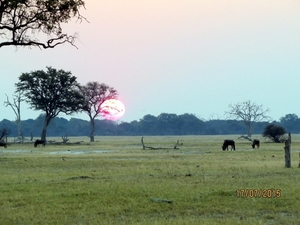 09 Hwange national park (229)