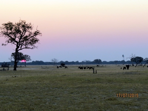 09 Hwange national park (230)