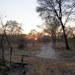 09 Hwange national park (238)