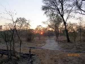 09 Hwange national park (238)