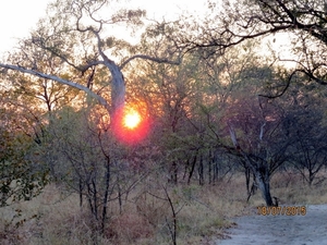 09 Hwange national park (239)