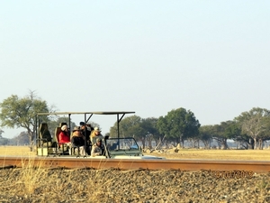 09 Hwange national park (249)