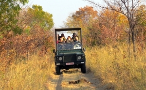 09 Hwange national park (250)